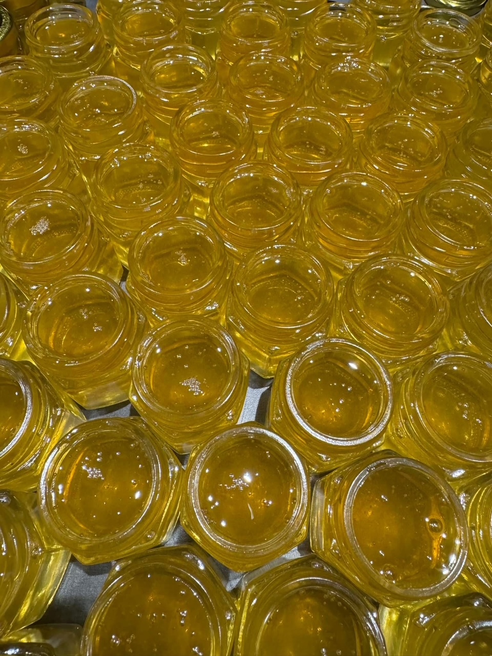 Production de miel et produits de la ruche